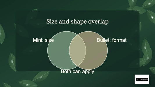 Illustrated guide: size and shape overlap, showing mini: size, both can apply, bullet: format.