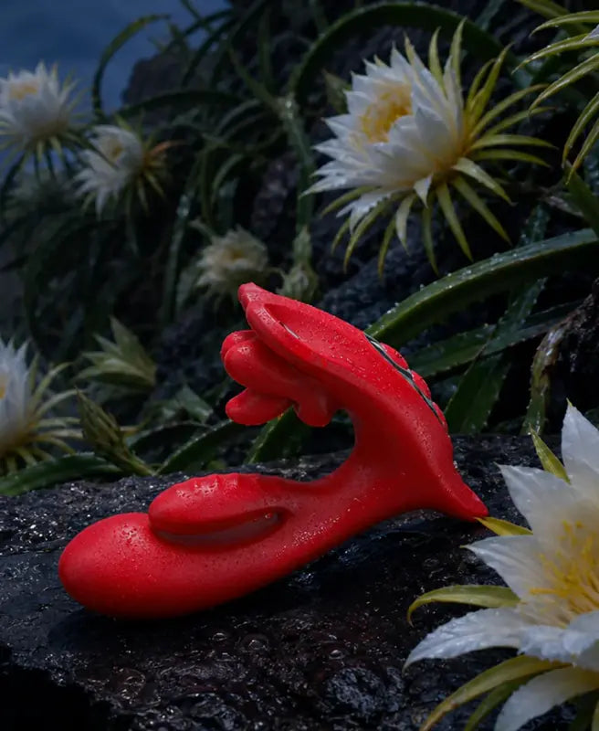 Queen's Bloom red three-point product in a night garden